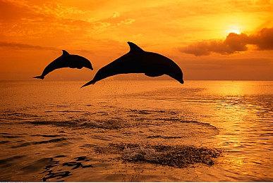 玩个球啊！编程解谜游戏《Line Time》今日正式发售